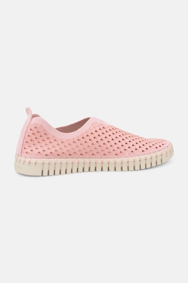ZAPATO TULIPA ROSA - Imagen 3