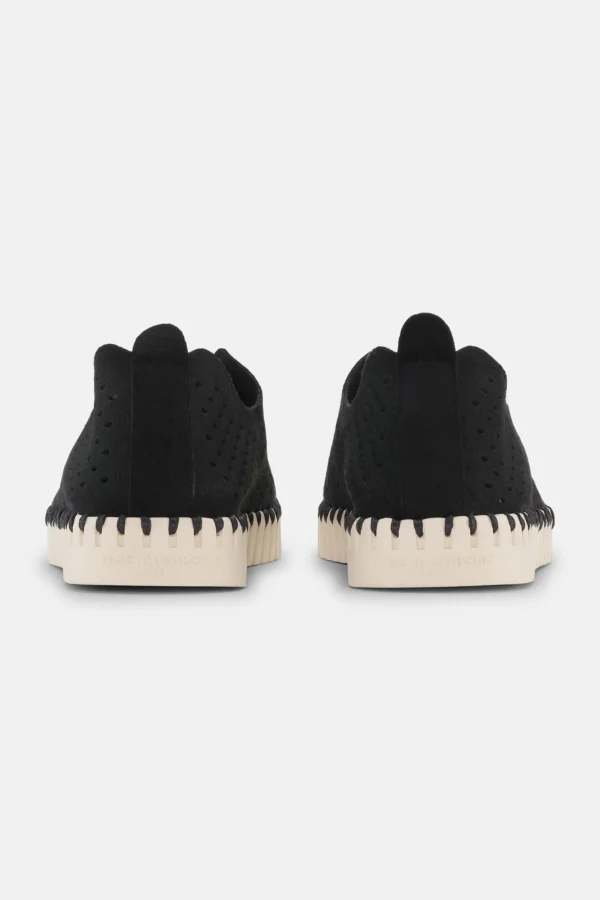 ZAPATO TULIPA NEGRO - Imagen 5