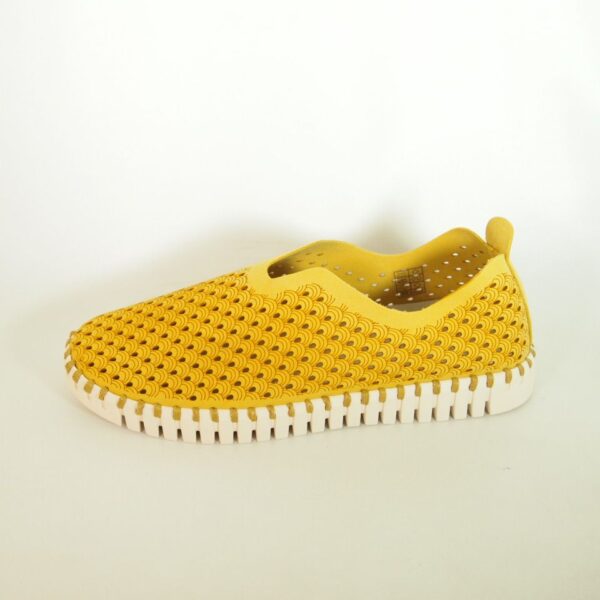 ZAPATO TULIPA MOSTAZA - Imagen 2